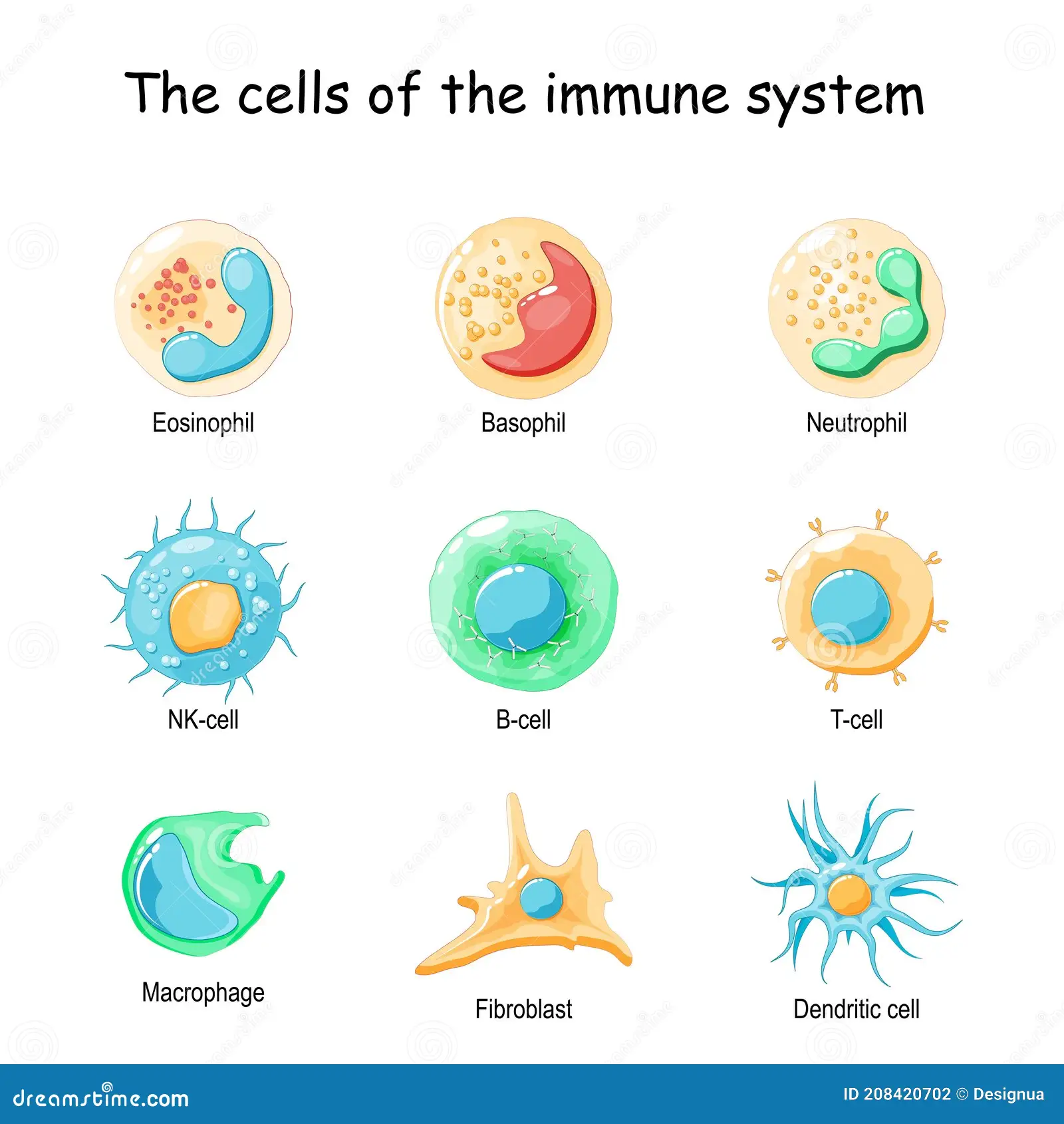 Immunology 